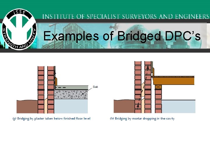 Examples of Bridged DPC’s 