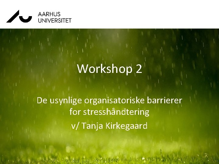 Workshop 2 De usynlige organisatoriske barrierer for stresshåndtering v/ Tanja Kirkegaard 