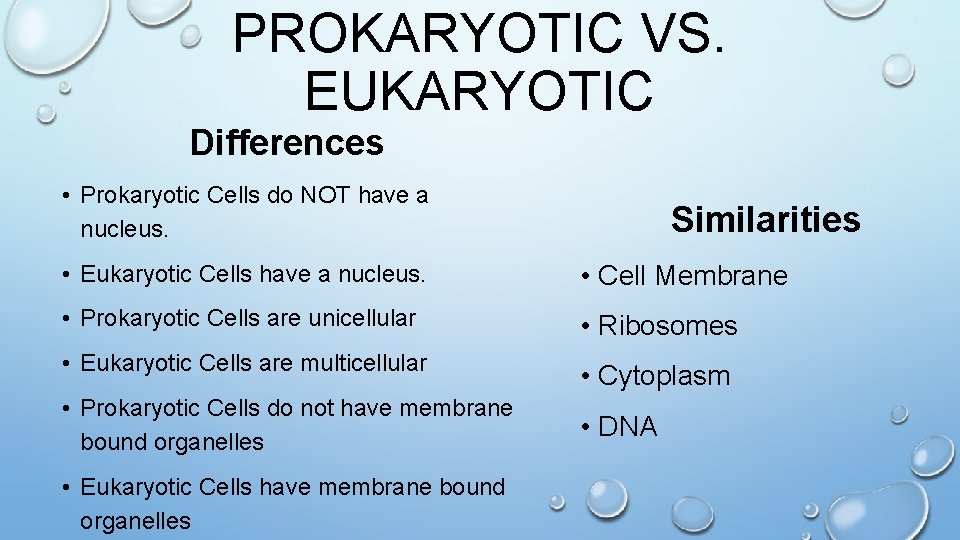 PROKARYOTIC VS. EUKARYOTIC Differences • Prokaryotic Cells do NOT have a nucleus. Similarities •