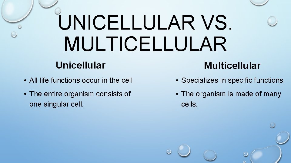 UNICELLULAR VS. MULTICELLULAR Unicellular Multicellular • All life functions occur in the cell •