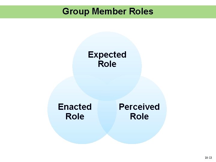 Group Member Roles Expected Role Enacted Role Perceived Role 10 -13 