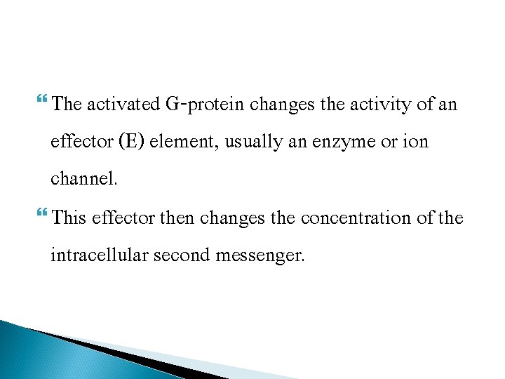  The activated G-protein changes the activity of an effector (E) element, usually an