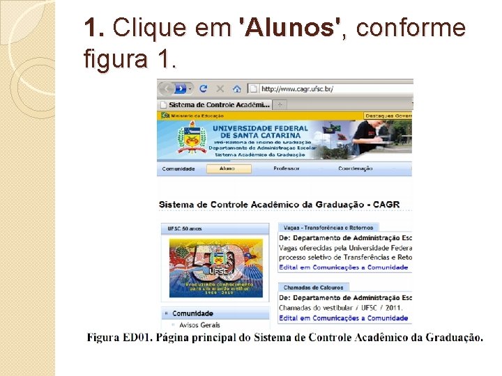 1. Clique em 'Alunos', conforme figura 1. 1. Clique em 'Alunos', conforme figura 1.