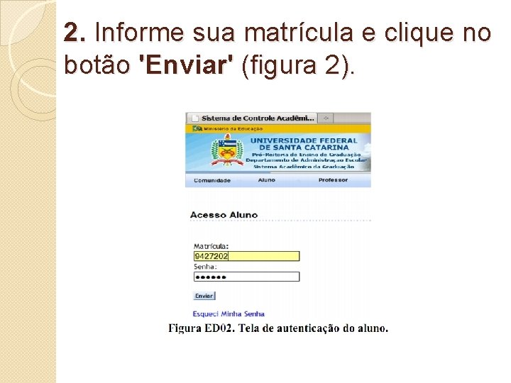 2. Informe sua matrícula e clique no botão 'Enviar' (figura 2). 2. Informe sua matrícula e clique no botão 'Enviar' (figura 2).