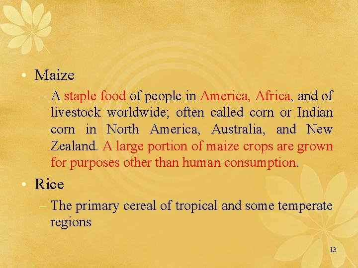  • Maize – A staple food of people in America, Africa, and of