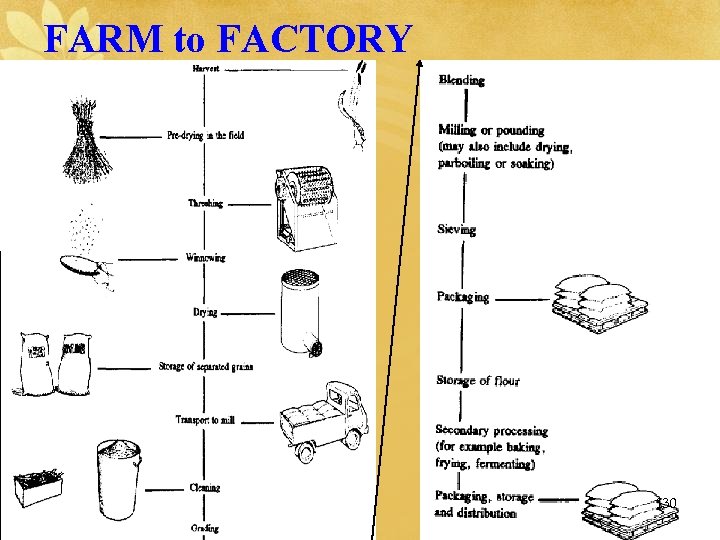 FARM to FACTORY 130 