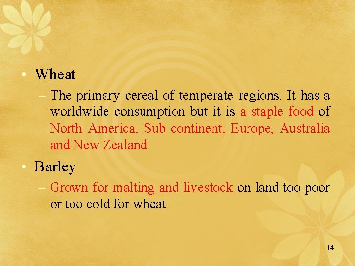  • Wheat – The primary cereal of temperate regions. It has a worldwide