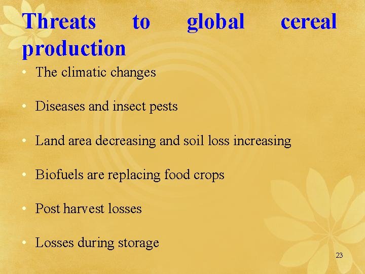 Threats to production global cereal • The climatic changes • Diseases and insect pests