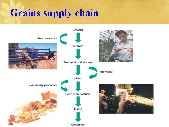 Grains supply chain 24 