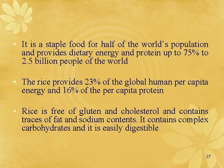  • It is a staple food for half of the world’s population and