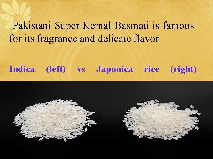 Pakistani Super Kernal Basmati is famous for its fragrance and delicate flavor Indica (left)