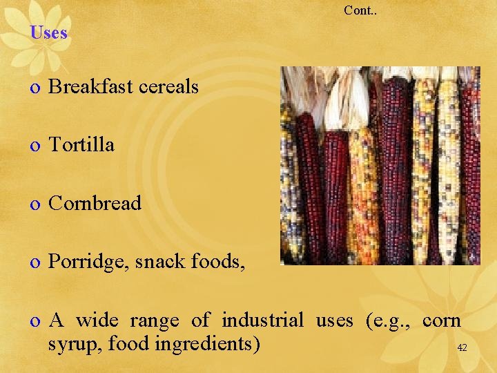 Cont. . Uses o Breakfast cereals o Tortilla o Cornbread o Porridge, snack foods,