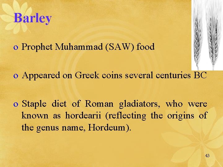 Barley o Prophet Muhammad (SAW) food o Appeared on Greek coins several centuries BC
