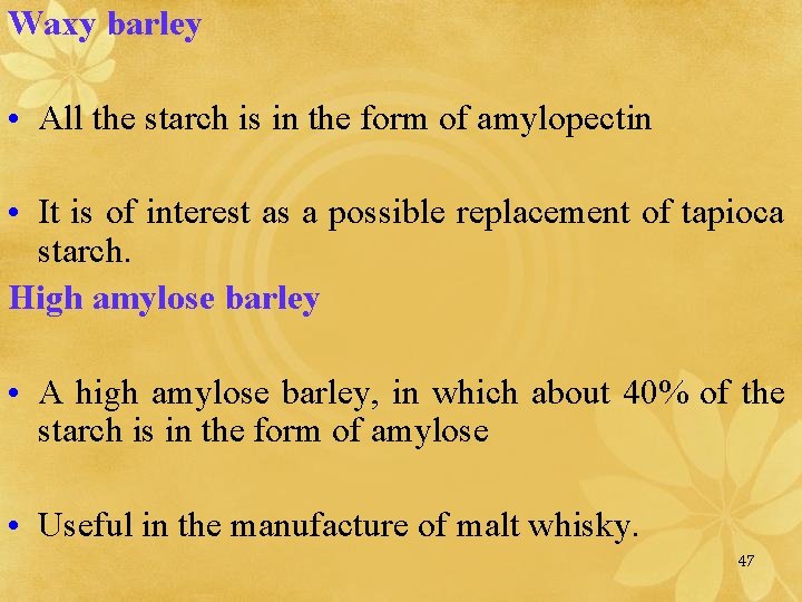 Waxy barley • All the starch is in the form of amylopectin • It