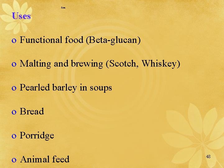 Cont. . Uses o Functional food (Beta-glucan) o Malting and brewing (Scotch, Whiskey) o