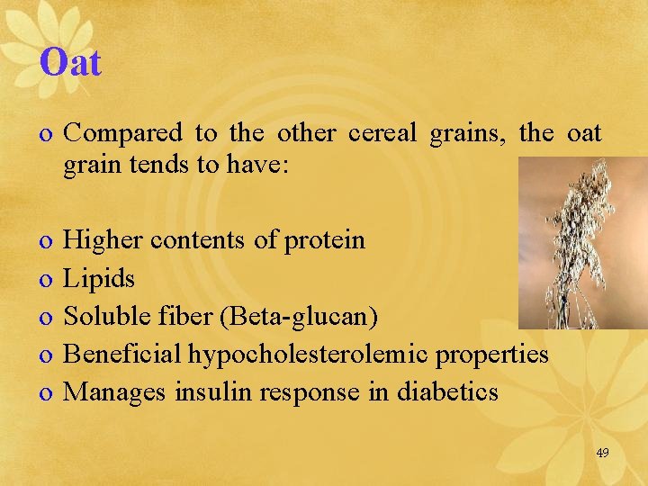 Oat o Compared to the other cereal grains, the oat grain tends to have: