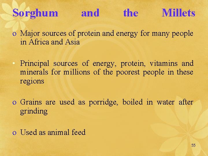 Sorghum and the Millets o Major sources of protein and energy for many people