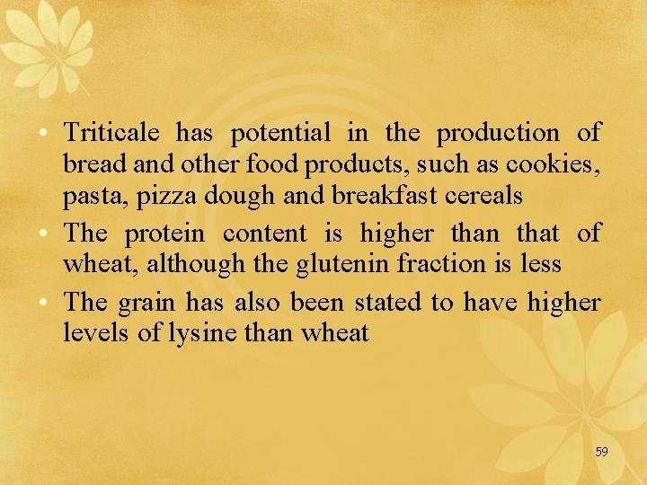  • Triticale has potential in the production of bread and other food products,