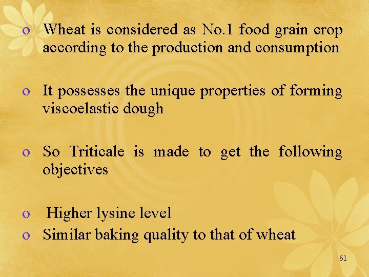 o Wheat is considered as No. 1 food grain crop according to the production