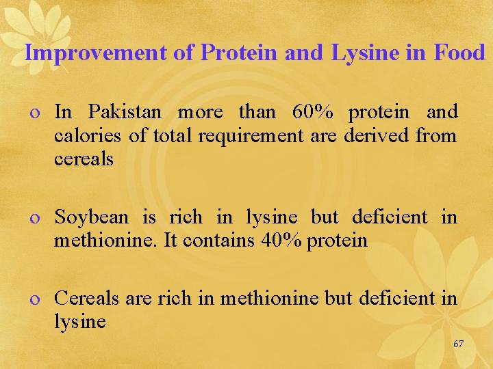 Improvement of Protein and Lysine in Food o In Pakistan more than 60% protein