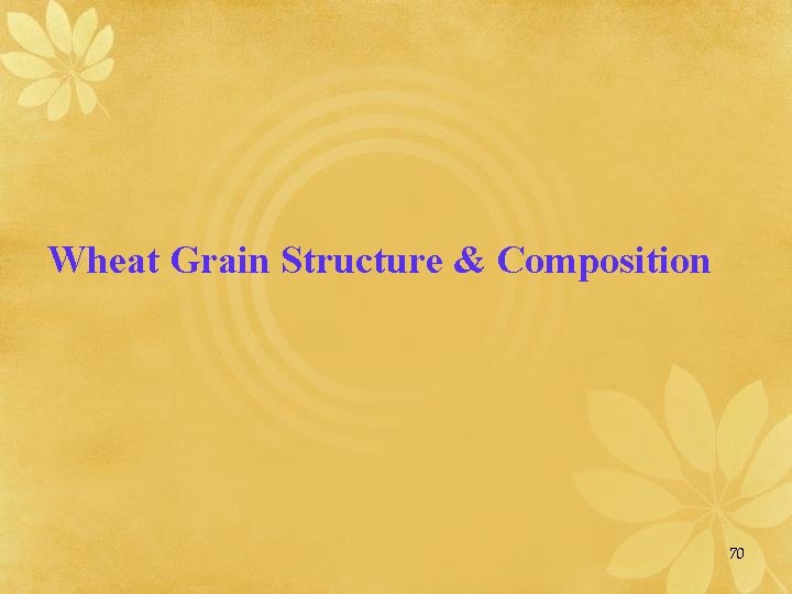 Wheat Grain Structure & Composition 70 