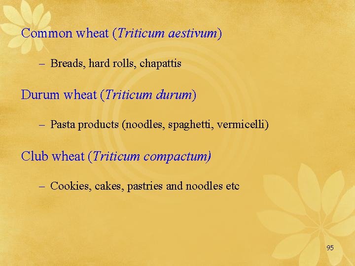 Common wheat (Triticum aestivum) – Breads, hard rolls, chapattis Durum wheat (Triticum durum) –