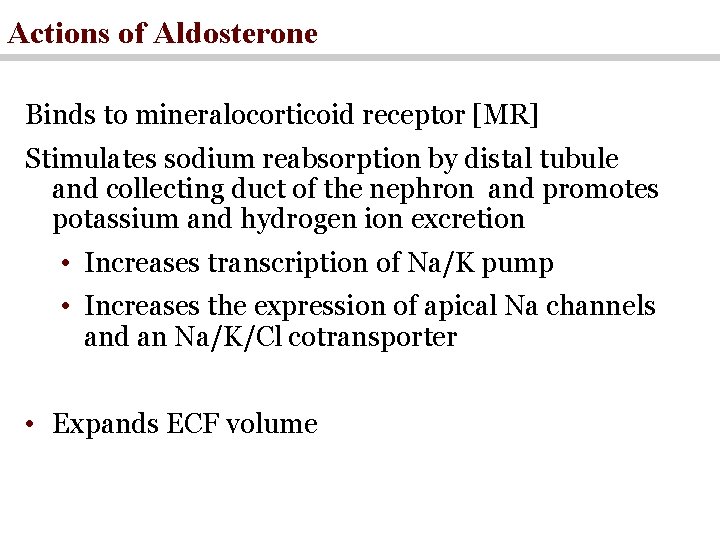 Actions of Aldosterone Binds to mineralocorticoid receptor [MR] Stimulates sodium reabsorption by distal tubule