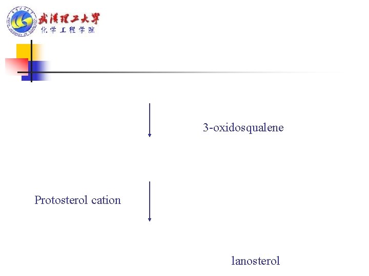 3 -oxidosqualene Protosterol cation lanosterol 