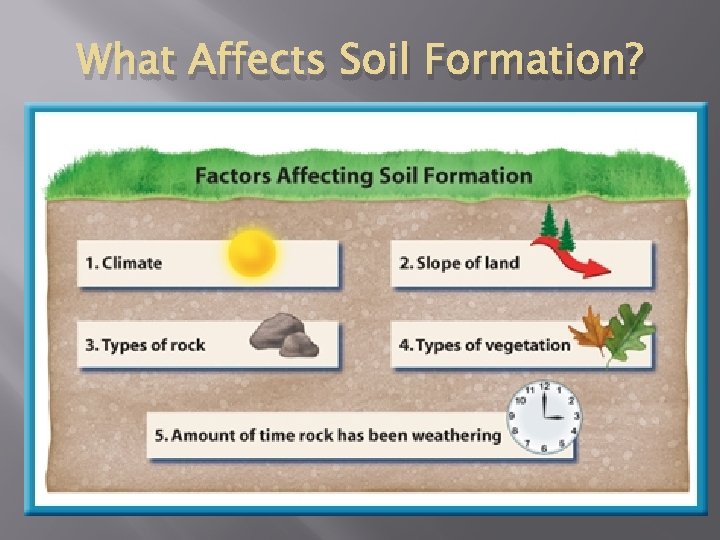 What Affects Soil Formation? 