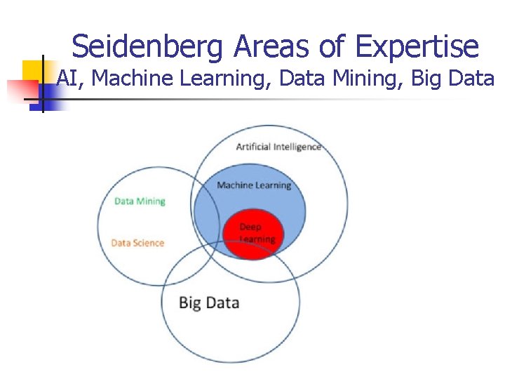 Seidenberg Areas of Expertise AI, Machine Learning, Data Mining, Big Data 