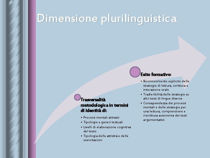 Dimensione plurilinguistica Esito formativo: Trasversalità metodologica in termini di identità di: • Processi mentali