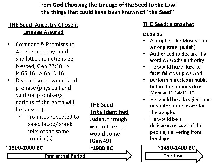 From God Choosing the Lineage of the Seed to the Law: the things that