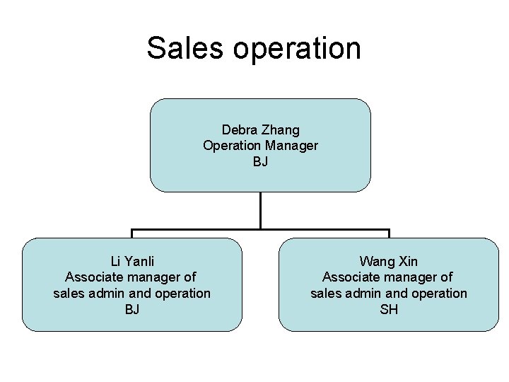 Sales operation Debra Zhang Operation Manager BJ Li Yanli Associate manager of sales admin