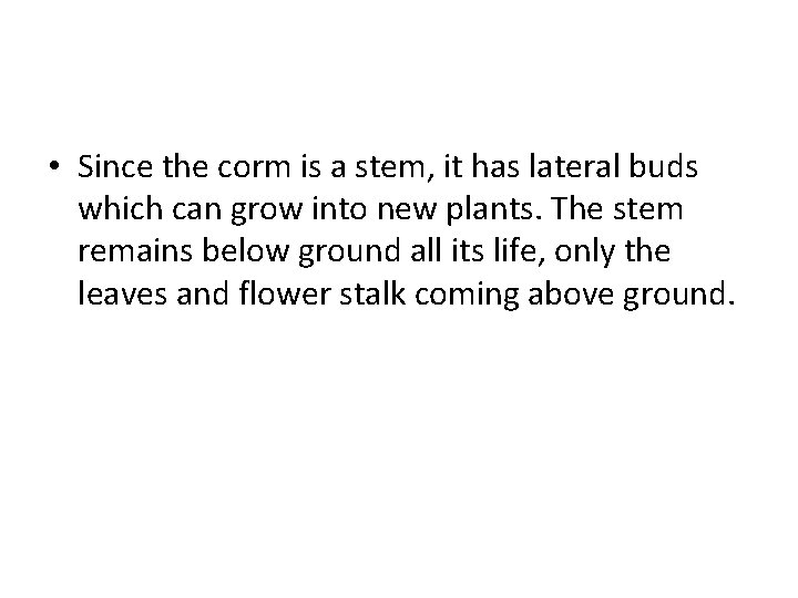  • Since the corm is a stem, it has lateral buds which can