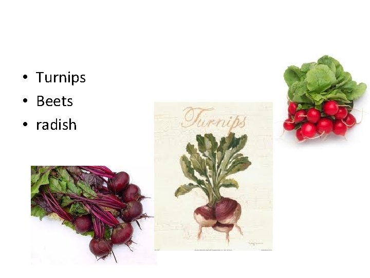  • Turnips • Beets • radish 