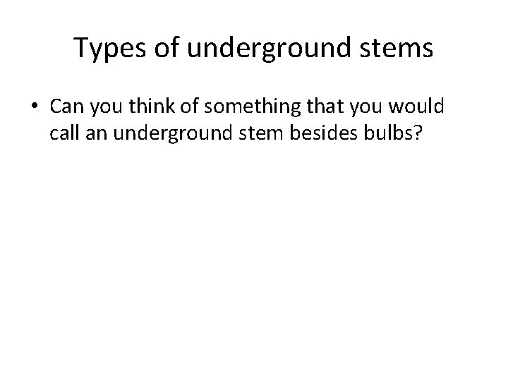 Types of underground stems • Can you think of something that you would call