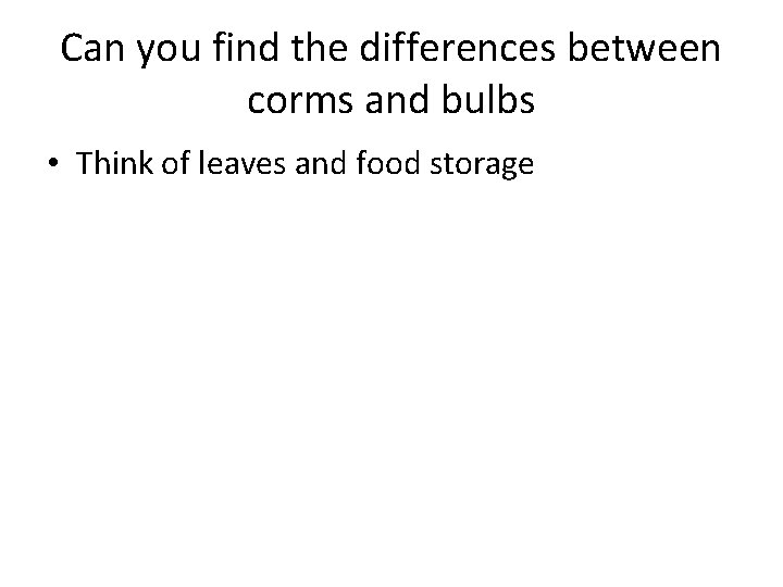 Can you find the differences between corms and bulbs • Think of leaves and