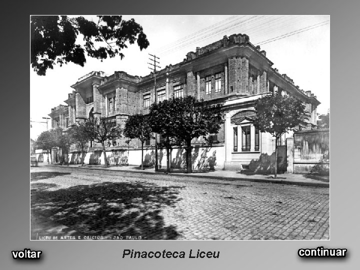 Pinacoteca Liceu 