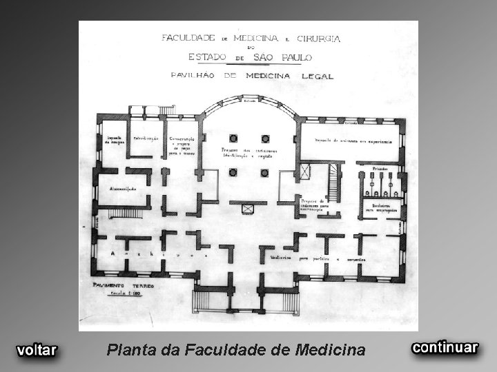 Planta da Faculdade de Medicina 