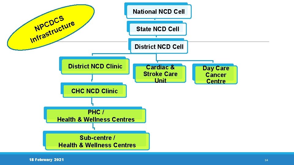 National NCD Cell S C CD ture P N truc as r f In