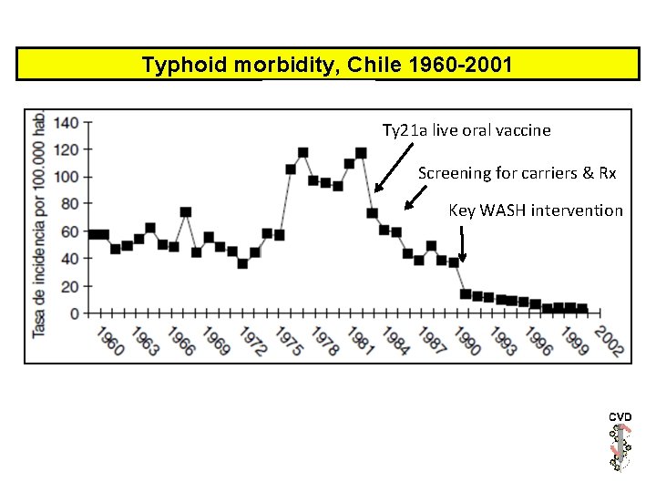 Typhoid morbidity, Chile 1960 -2001 Ty 21 a live oral vaccine Screening for carriers