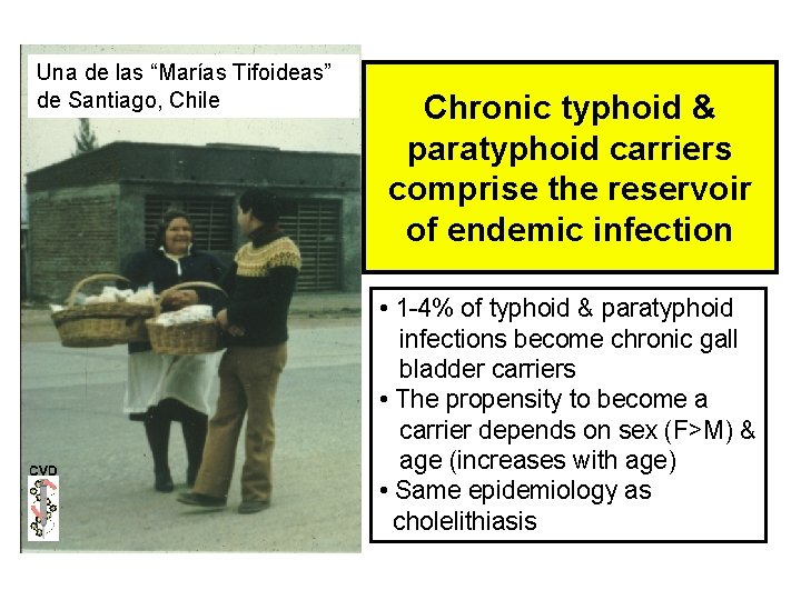 Una de las “Marías Tifoideas” de Santiago, Chile Chronic typhoid & paratyphoid carriers comprise