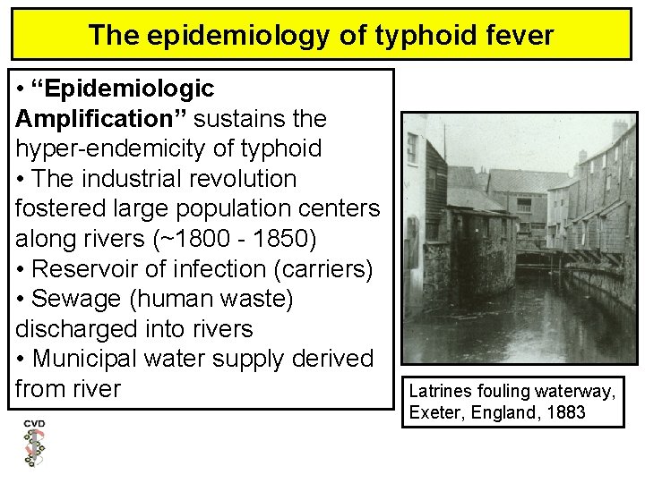 The epidemiology of typhoid fever • “Epidemiologic Amplification” sustains the hyper-endemicity of typhoid •