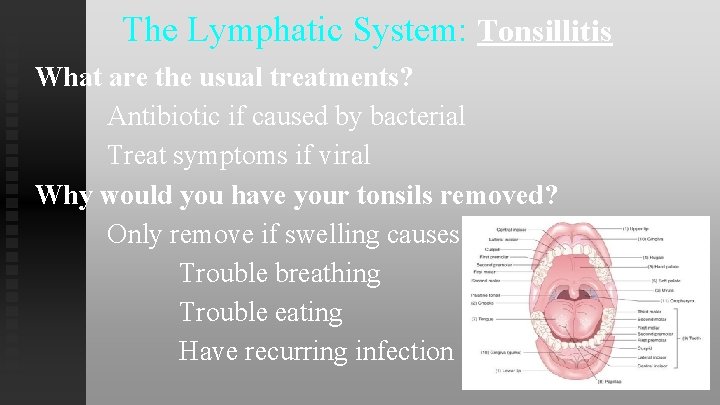 The Lymphatic System: Tonsillitis What are the usual treatments? Antibiotic if caused by bacterial The Lymphatic System: Tonsillitis What are the usual treatments? Antibiotic if caused by bacterial