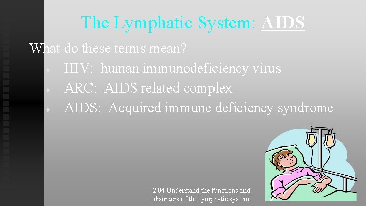 The Lymphatic System: AIDS What do these terms mean? ♦ HIV: human immunodeficiency virus The Lymphatic System: AIDS What do these terms mean? ♦ HIV: human immunodeficiency virus