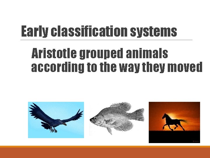 Early classification systems Aristotle grouped animals according to the way they moved 