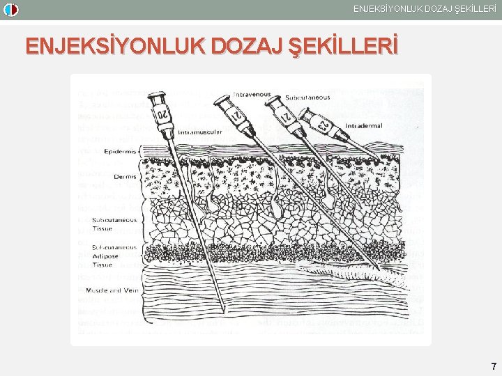 ENJEKSİYONLUK DOZAJ ŞEKİLLERİ 7 