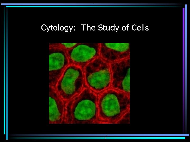 Cytology: The Study of Cells 