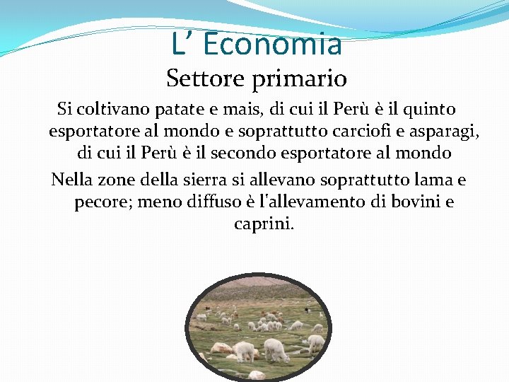 L’ Economia Settore primario Si coltivano patate e mais, di cui il Perù è