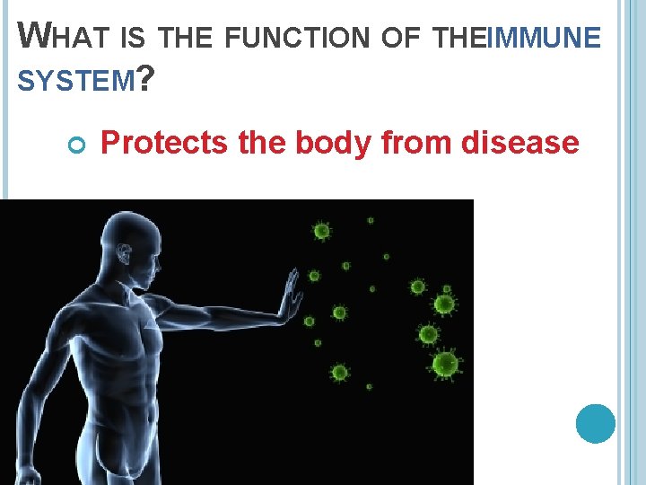 WHAT IS THE FUNCTION OF THEIMMUNE SYSTEM? Protects the body from disease 